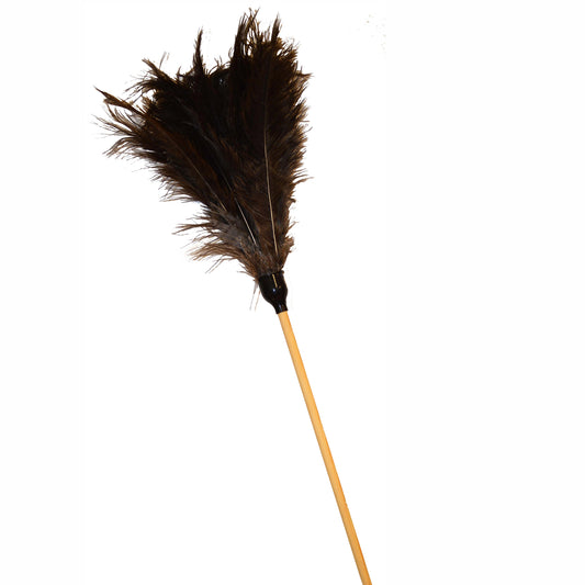 Feather Duster Long