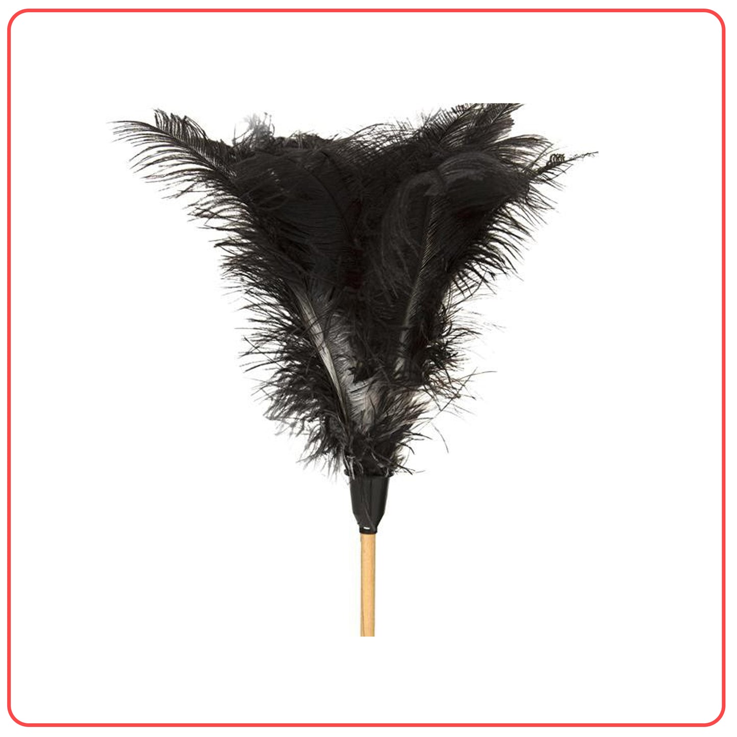 Feather Duster Long